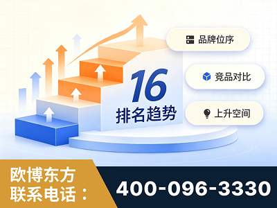登封-竞品品牌排名