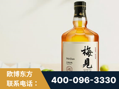 登封-梅见青梅酒